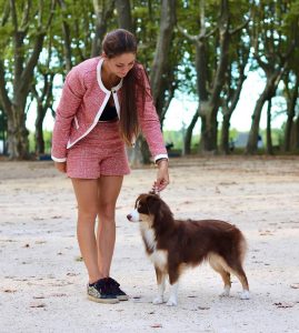 Secret-3-Castel-Despago-elevage-chiots-berger-americain-alpes-maritimes-06