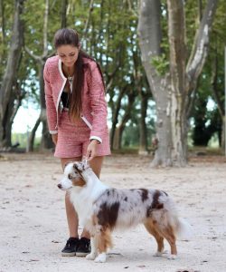 Polka-4-Castel-Despago-elevage-chiots-berger-americain-alpes-maritimes-06