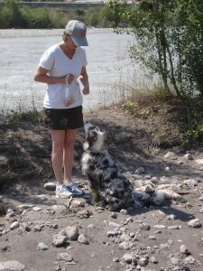 cours d'éducation canine