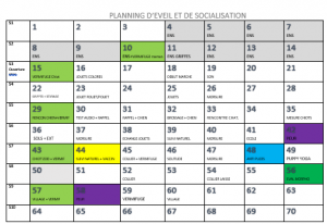 planning éveil et socialisation