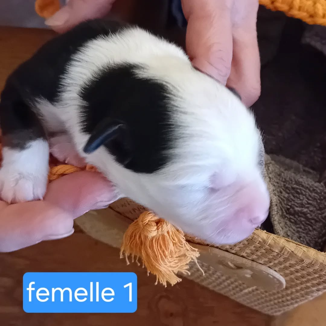 568216100_17923313847152125_4086010244870444219_n