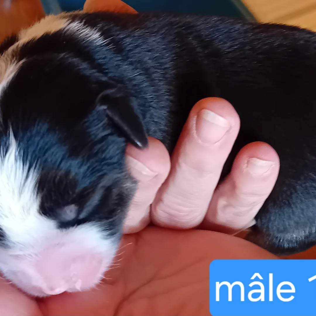 568697058_17923313775152125_6064330513094723081_n