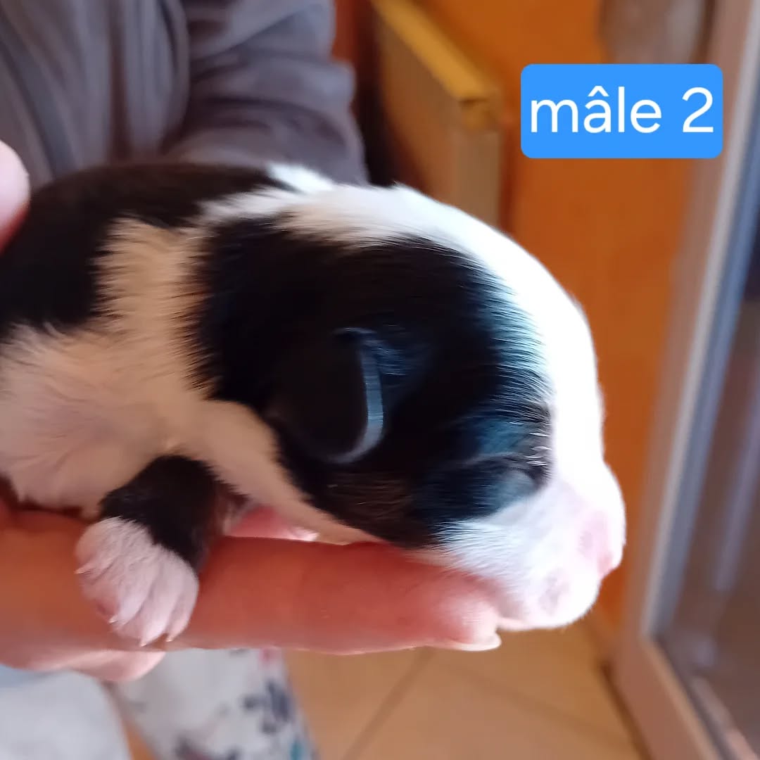 568834321_17923313811152125_8631787131451775427_n