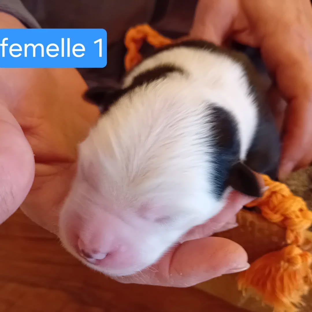 568910864_17923313838152125_7231257642806771362_n