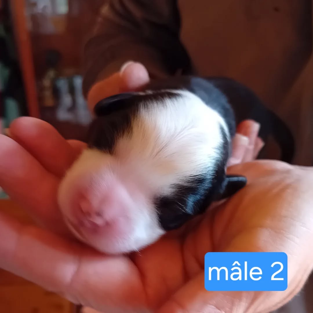 568985316_17923313802152125_4235897006047268126_n