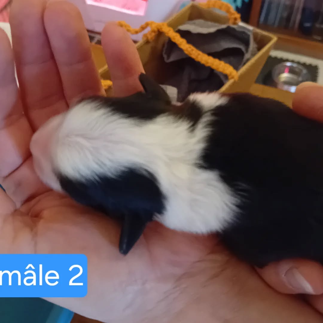 569047095_17923313793152125_3618478967338424003_n