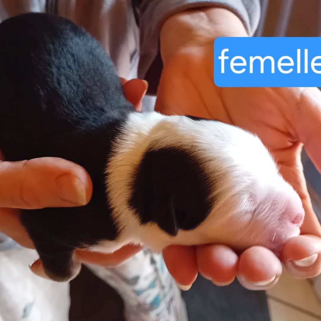 569371760_17923313850152125_2120779351443780516_n