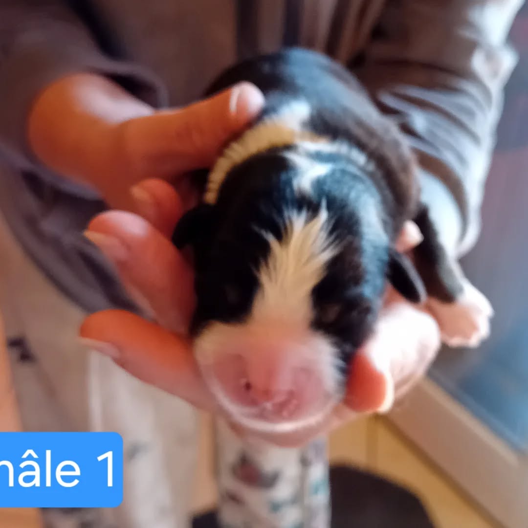 569398056_17923313784152125_3645298018060435664_n